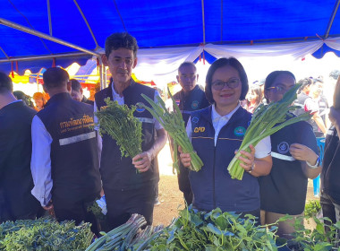 รัฐมนตรีช่วยว่าการกระทรวงเกษตรและสหกรณ์และอธิบดีกรมส่งเสริมสหกรณ์ ลงพื้นที่จังหวัดหนองคาย พบปะเครือข่ายเกษตรกรรุ่นใหม่ (Young Smart Farmer)เยี่ยมชมกลุ่มวิสาหกิจชุมชนเกษตรปลอดภัยบ้านไร่ชมภู ... พารามิเตอร์รูปภาพ 5